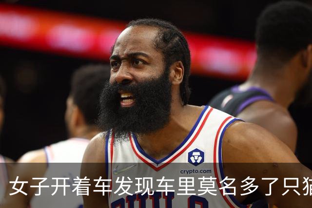 女子开着车发现车里莫名多了只猫，最后找到一家四口，人都懵了：你们一家什么时候搬进来的？